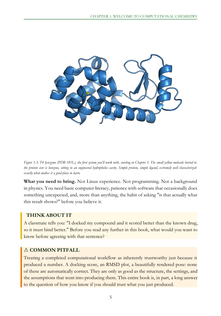 Sample molecular illustration of T4 lysozyme and benzene